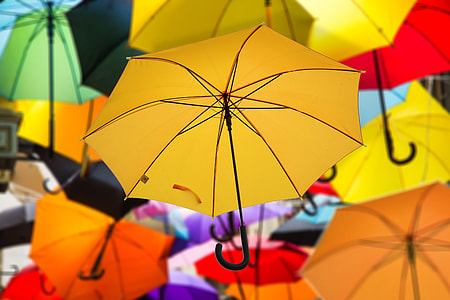 selective focus photography of yellow umbrella thumbnail