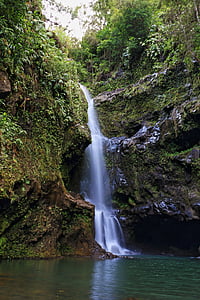 waterfalls surrounded by green grass and trees at daytime thumbnail
