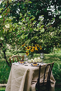 Healthy lunch in the garden thumbnail