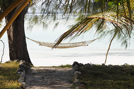 white hammock near body of water thumbnail