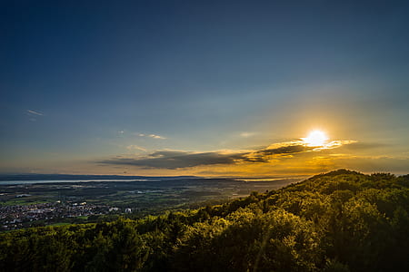 trees on mountain during dawn thumbnail