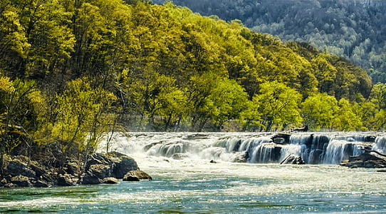 waterfalls near trees thumbnail