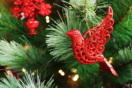 red bird ornament hung on Christmas tree thumbnail