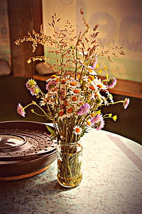 white petaled flowers thumbnail