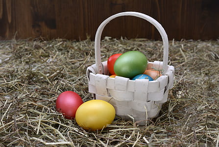 food, wood, grass, colourful thumbnail
