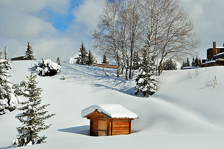 brown and white wooden shed thumbnail