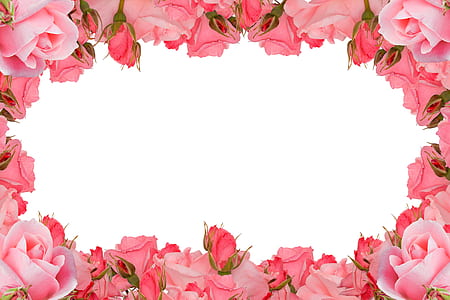 pink floral frame \ thumbnail