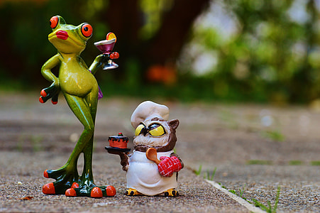 tree frog and owl near trees thumbnail
