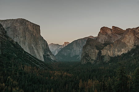 green pine trees and rocky mountains under gray sky thumbnail