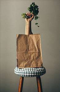 Right Human Hand Holding Green Vegetable on Paper Bag thumbnail