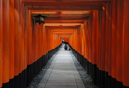 hallway of tori gates thumbnail
