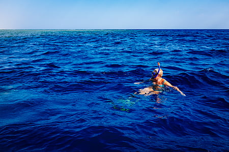 person swimming in sea thumbnail