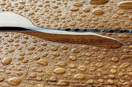 water dew on brown wooden board thumbnail