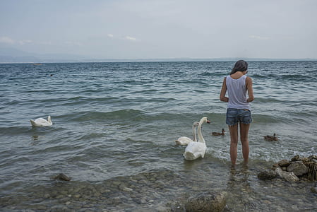 woman standing on seashore beside ducks thumbnail