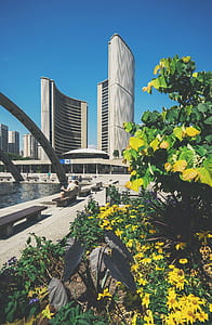 high rise building near body of water during daytime thumbnail
