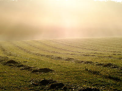 green grass field thumbnail