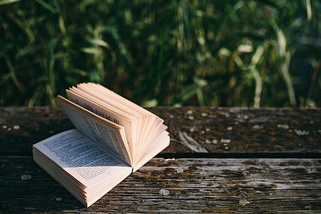 Reading book at lake thumbnail