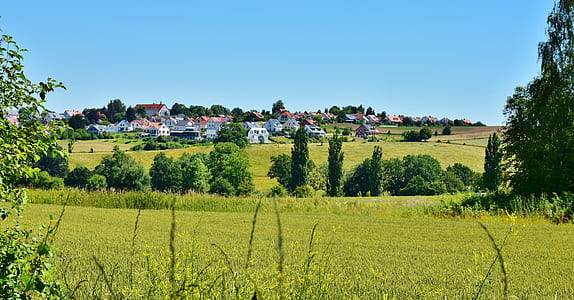 green field surrounded by trees during daytime thumbnail