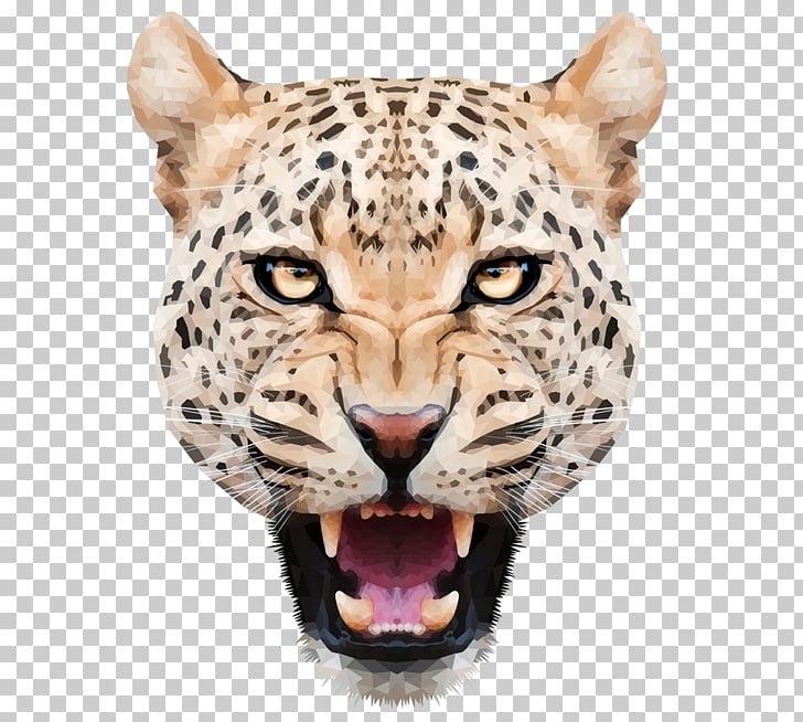 Leopard High-definition television 4K resolution , Leopard , jaguar head PNG clipart