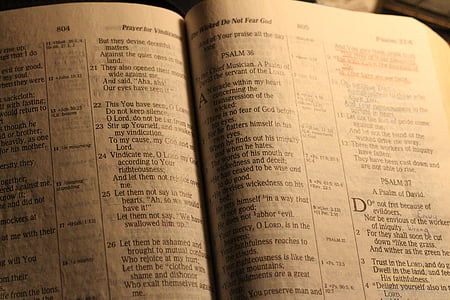 white book page thumbnail