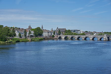 concrete bridge surrounded by house thumbnail