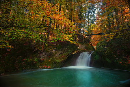 time lapse waterfall in the middle of forest thumbnail