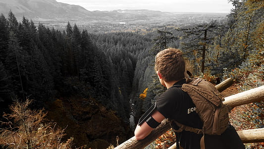 Man in Black Shirt and Brown Backpack Leaning on Brown Wooden Handrail Looking over Green Leaf Pine Trees and Creek thumbnail