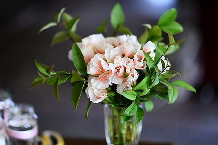 closeup photography of white petaled flowers in clear glass vase thumbnail