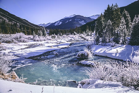 snow covered river next to forest thumbnail