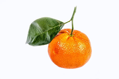 orange fruit thumbnail