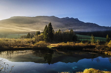 forest and body of water photo thumbnail