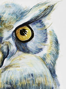 owl artwork thumbnail