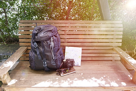 wood, bench, landscape, nature thumbnail