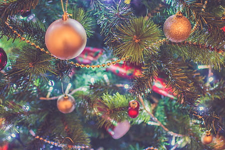 gold and red baubles hanging on pine tree thumbnail