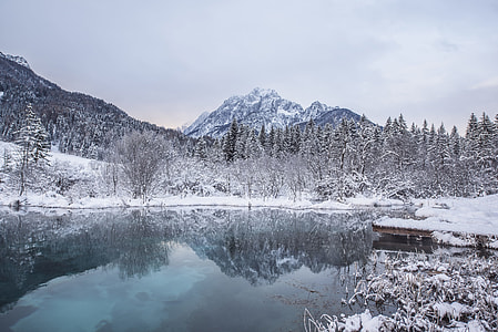 trees and mountains covered with snow beside body of water under grey sky during twilight thumbnail