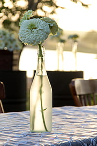 selective focus photo of white petaled flowers in vase thumbnail