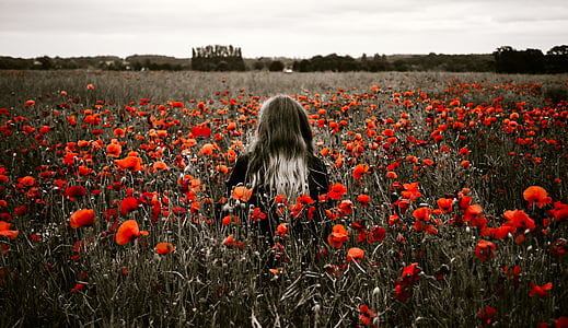 woman in red petaled flowers field at daytime thumbnail