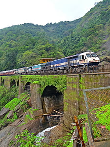 multicolored train near mountain with trees thumbnail