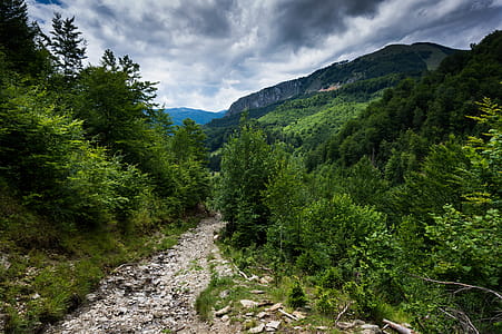 Photo of Mountains With Pathway thumbnail