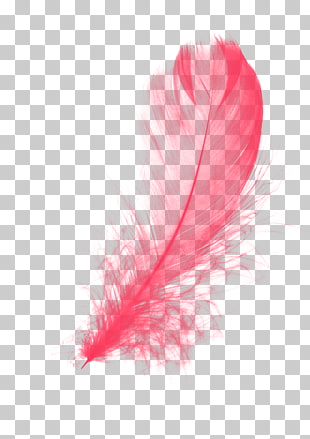 Feather, Red Feather, red feather illustration PNG clipart