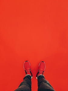 person wearing red low-top sneakers thumbnail