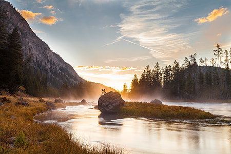 river near trees beside mountain during daytime thumbnail