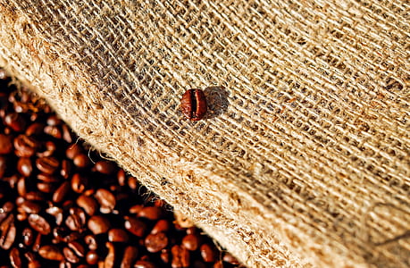 bunch of coffee beans thumbnail