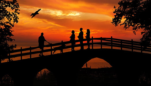 silhouette of people standing on bridge during sunset thumbnail