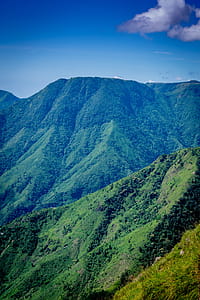 Landscape Photo of Mountain Surrounded by Trees thumbnail
