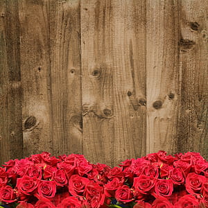 view of red roses behind brown plank thumbnail