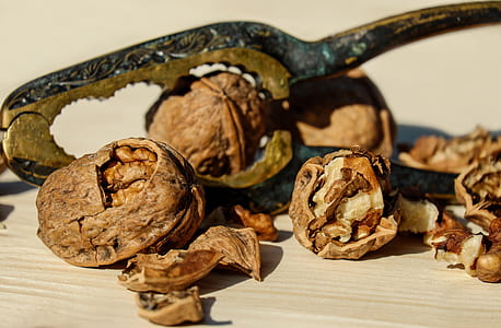 close up photo of walnuts thumbnail