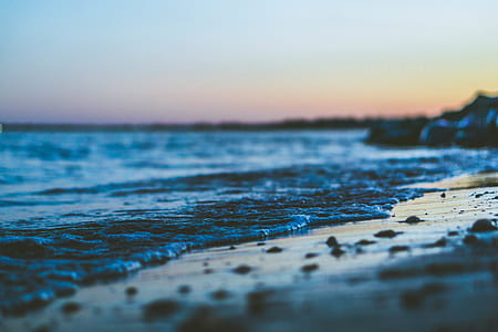 macro shot of seashore thumbnail
