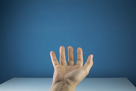 Person Showing Right Hand thumbnail