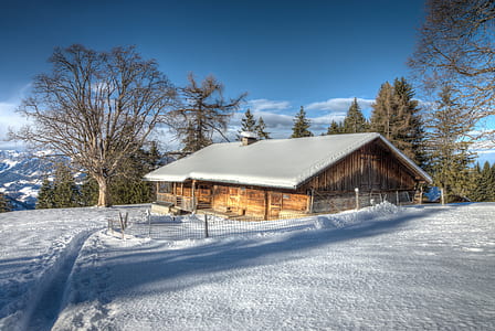 snow covered house thumbnail